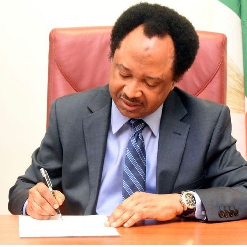 Former Nigerian Senator Shehu Sani Urges Nigerians and Africans: Do Not Enlist in Russia's Army